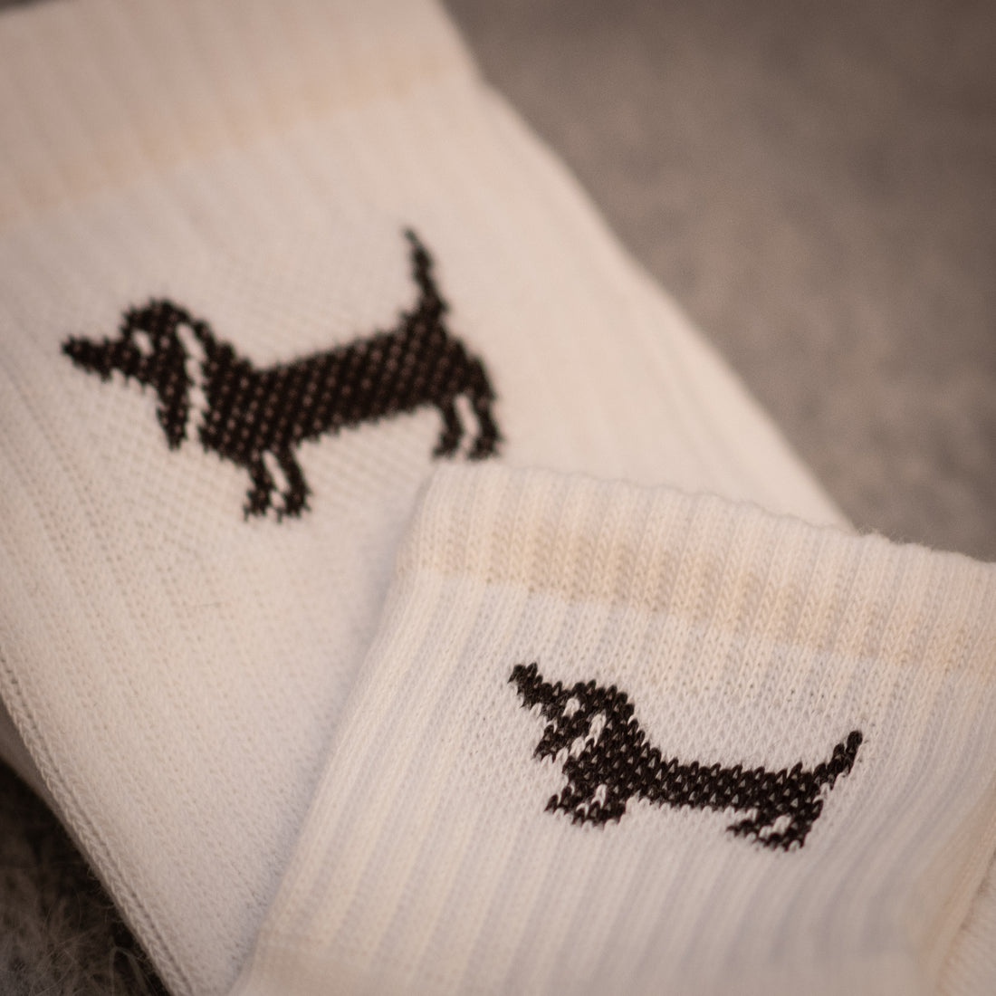 AURYN - Dackel - Socken weiß - Partnerlooksocken MINI & ME
