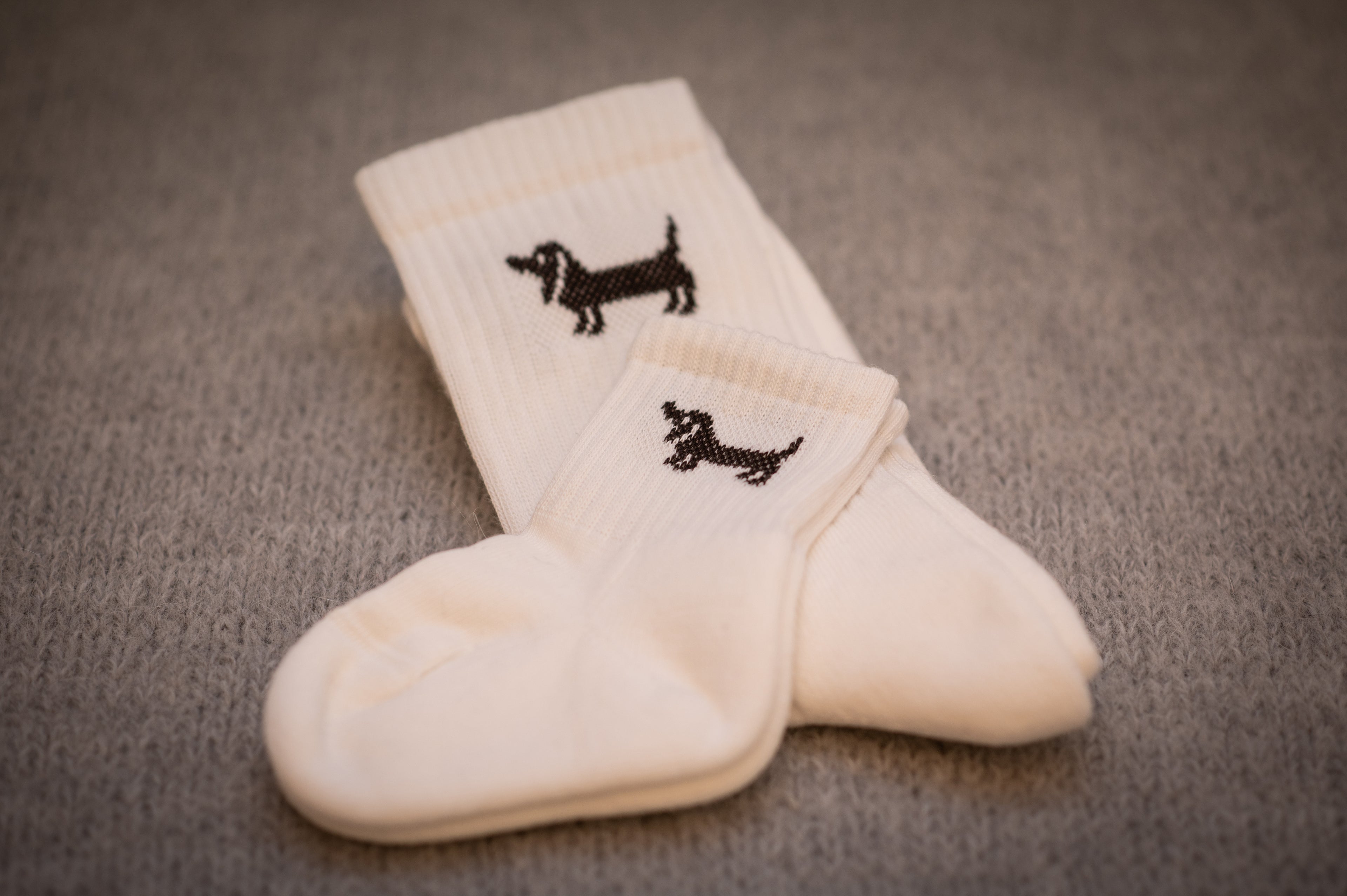 AURYN - Dackel - Socken weiß - Partnerlooksocken MINI & ME