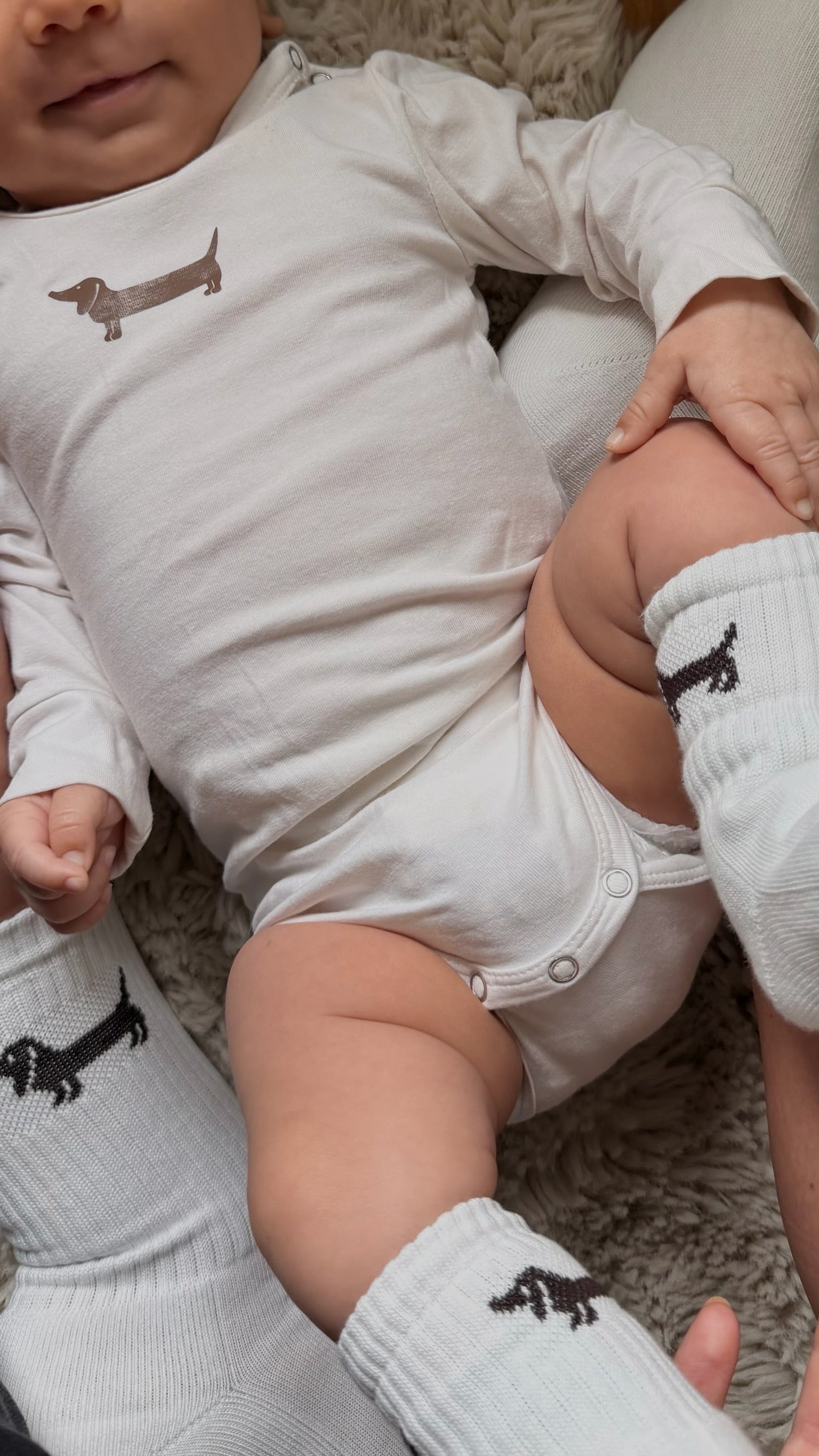 AURYN - Dackel - Socken weiß - Partnerlooksocken MINI & ME