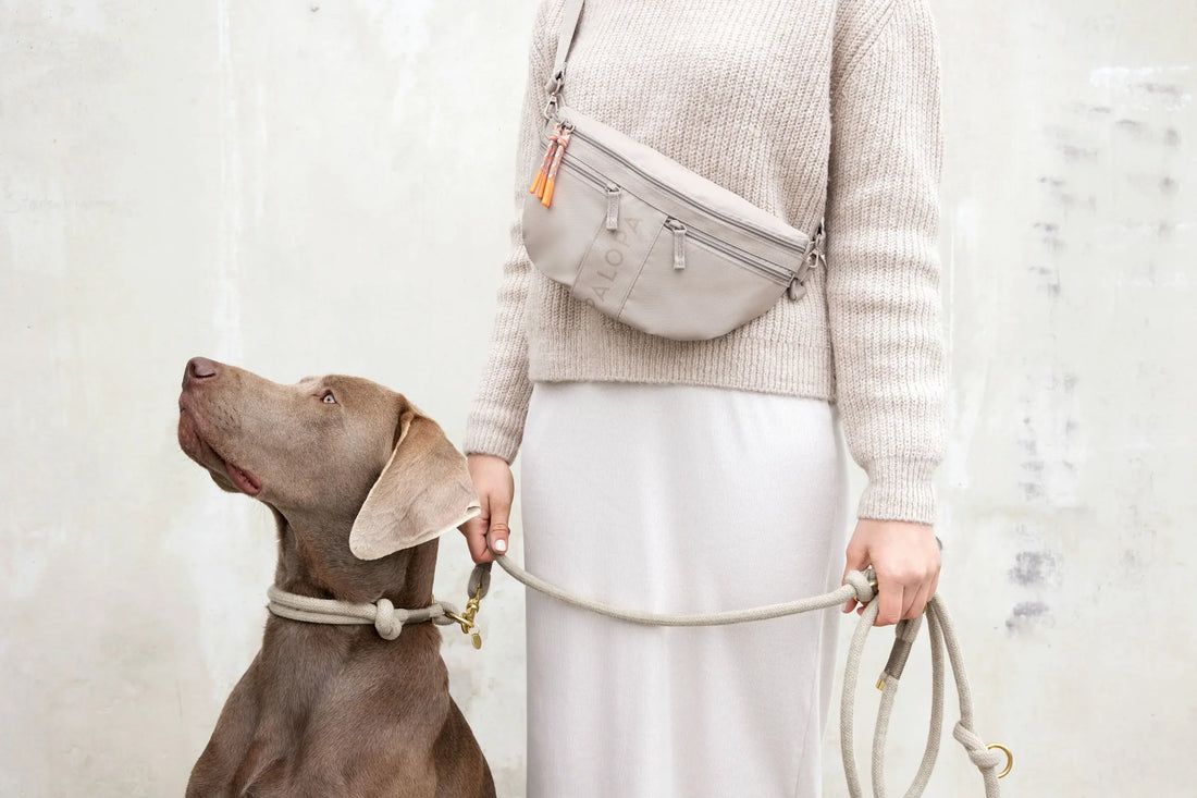 PALOPA - Damen Bauchtasche Emma Hund grau MINI & ME