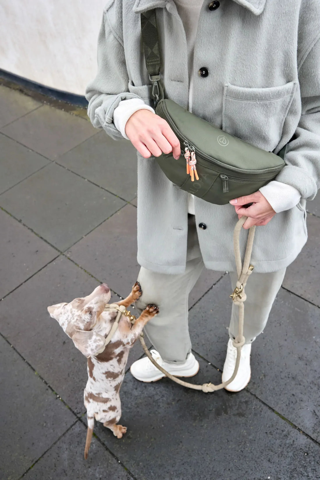 PALOPA - Damen Bauchtasche Emma Hund grün MINI & ME