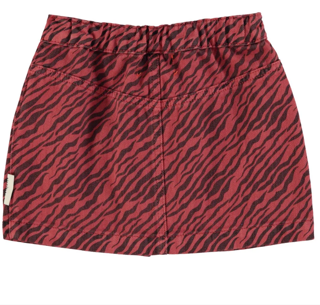 Piupiuchick-rock-zebra-kinder