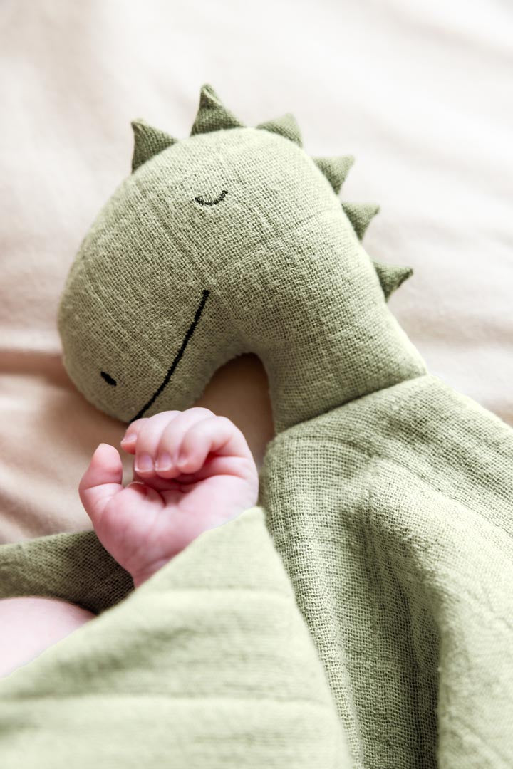 Trixie - Swaddle - Mr. Dino