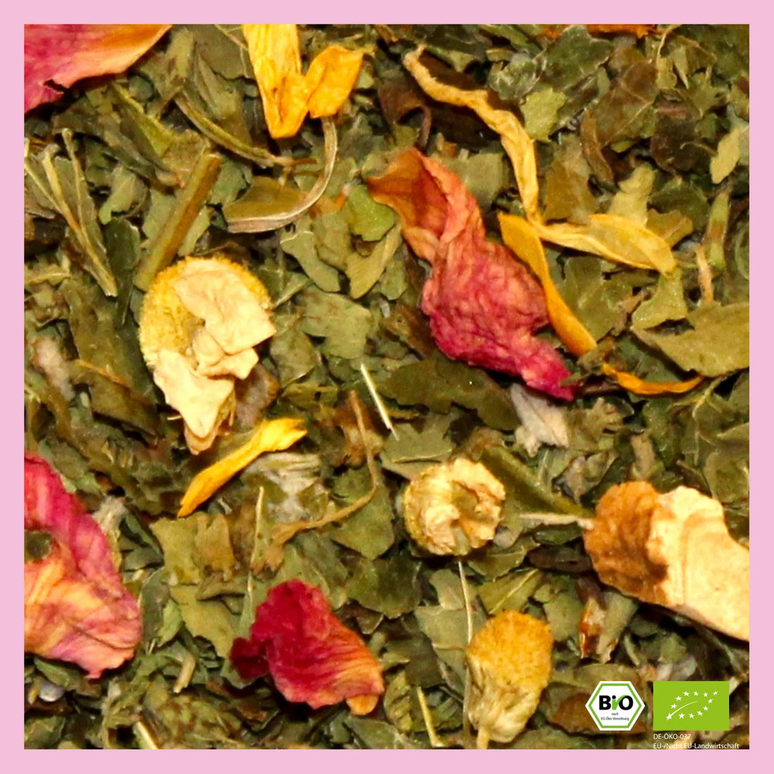 URBAN TEA FACTORY - ChChCh Changes