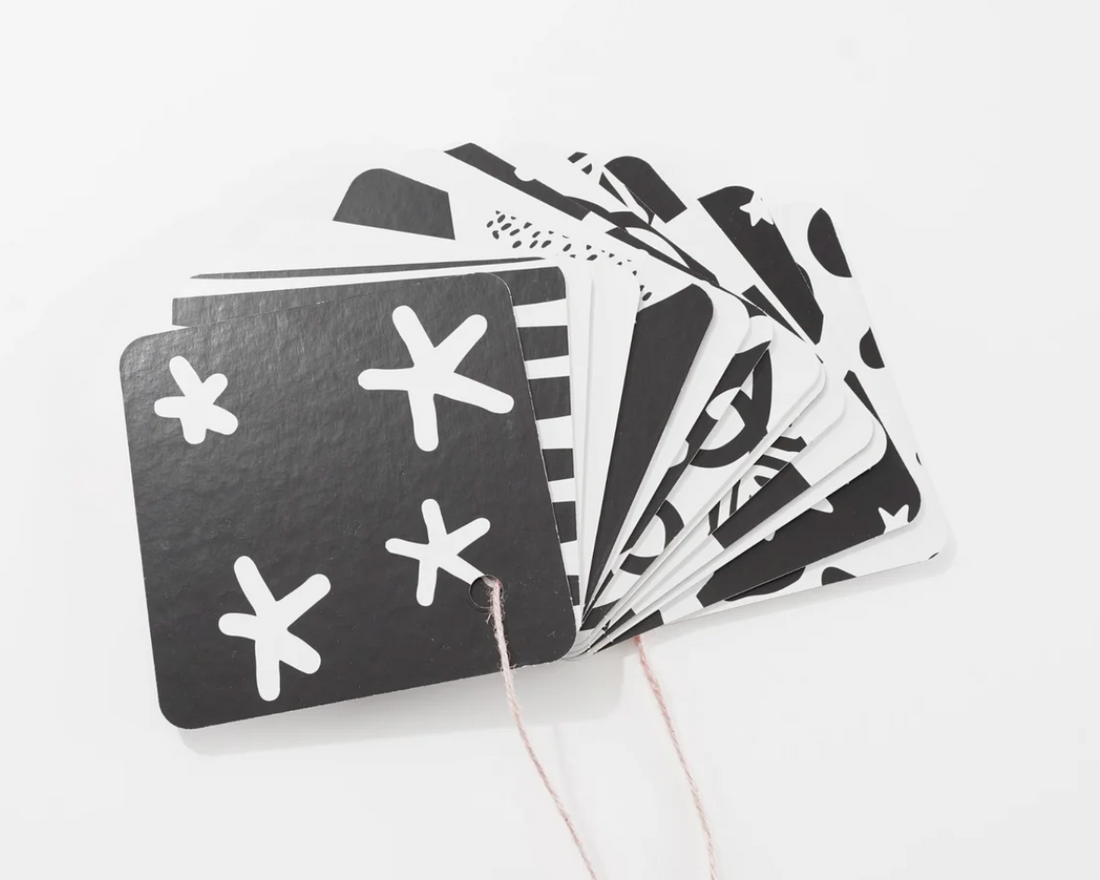 Wer wir wurden - Baby Kontrastkarten