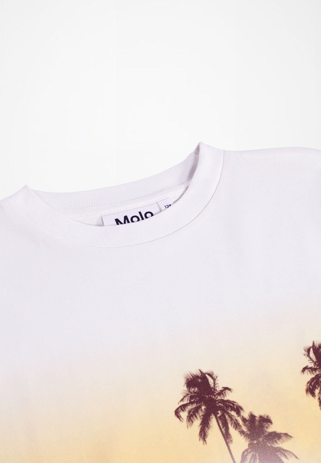 Molo - Kinder T-Shirt Rodney "Sunrise Skate"