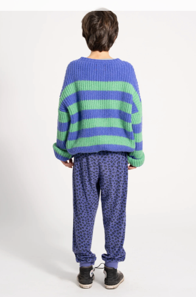 Piupiuchick - Baby Pullover lila grün gestreift