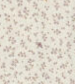 Hust & Claire - Baby Bambusbody Bonni