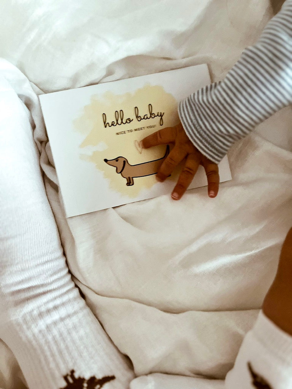 Auryn Papeterie - Dackel Geburtskarte - Hello Baby