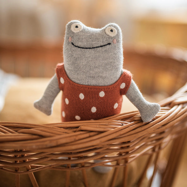 Ava &amp; Yves - Babyrassel Baumwolle (bio) Frosch