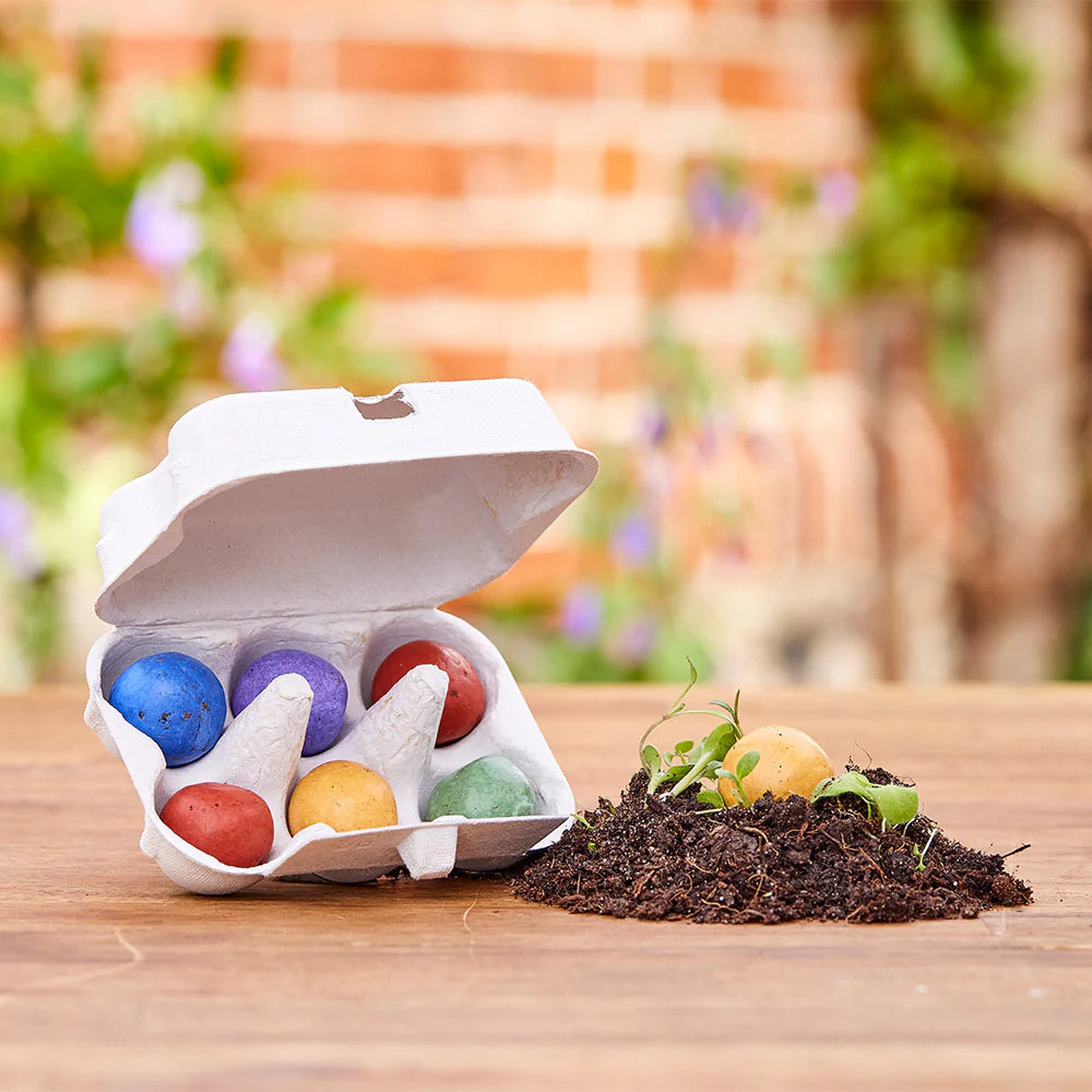 Die Stadtgärtner - Blumenmurmeln in der Eierschachtel