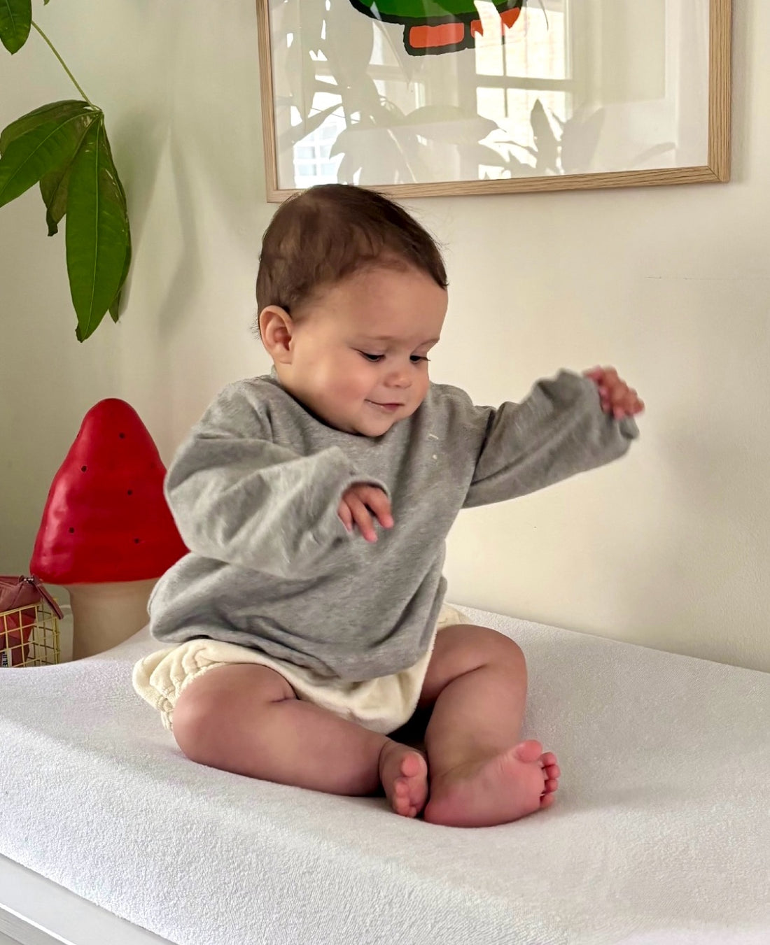 Gray Label - Baby Sweatshirt grau