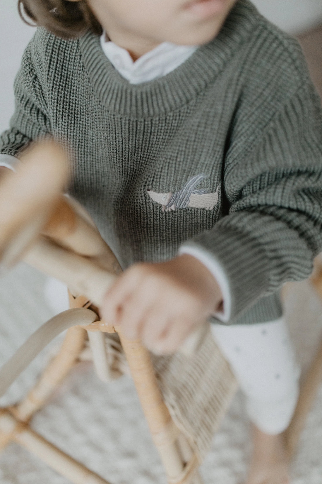 Leevje - Baby Strickpullover Wollw/ Baumwolle Dackel grün