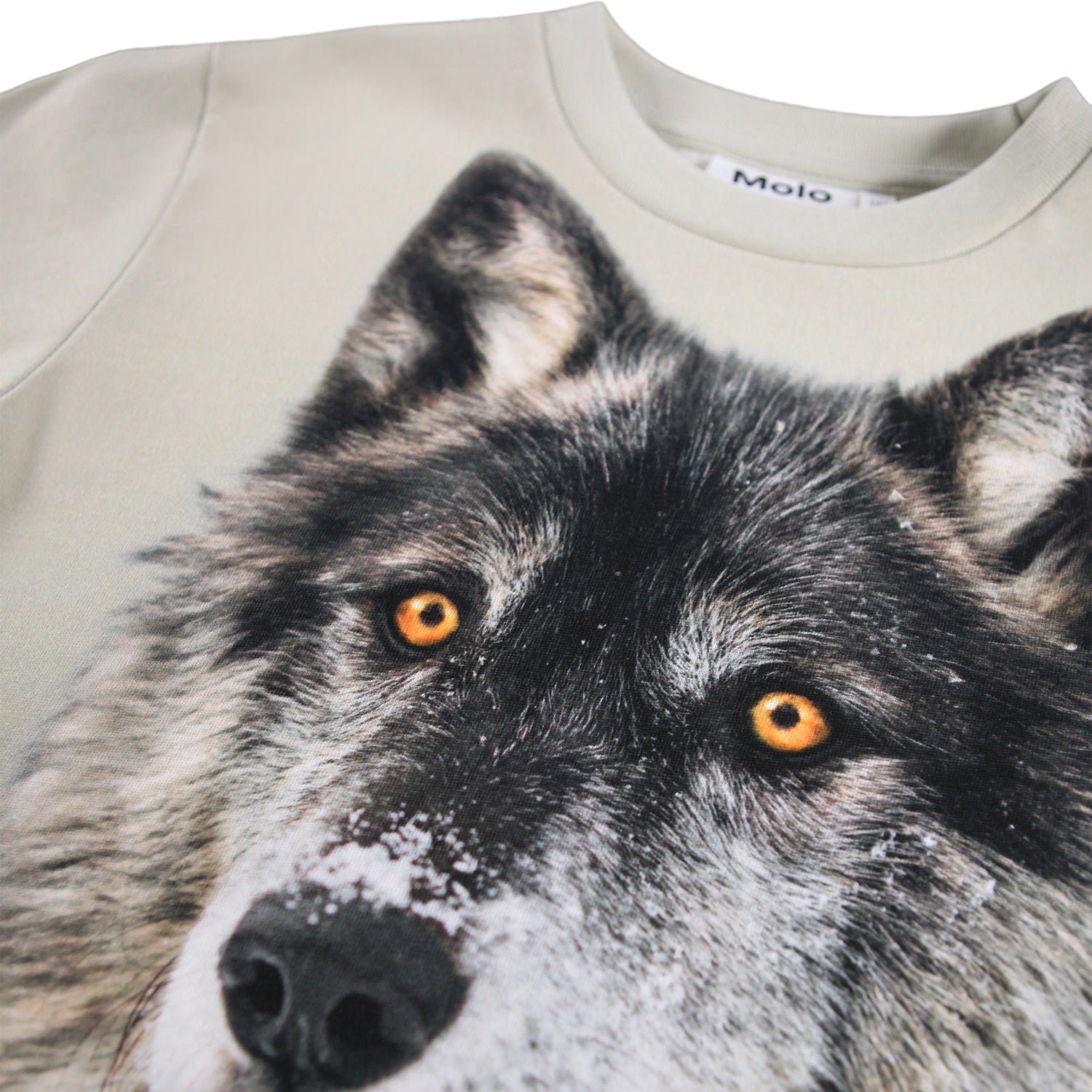 Molo - Kinder / Jungen Sweatshirt „Two Wolves“ - Detailbild