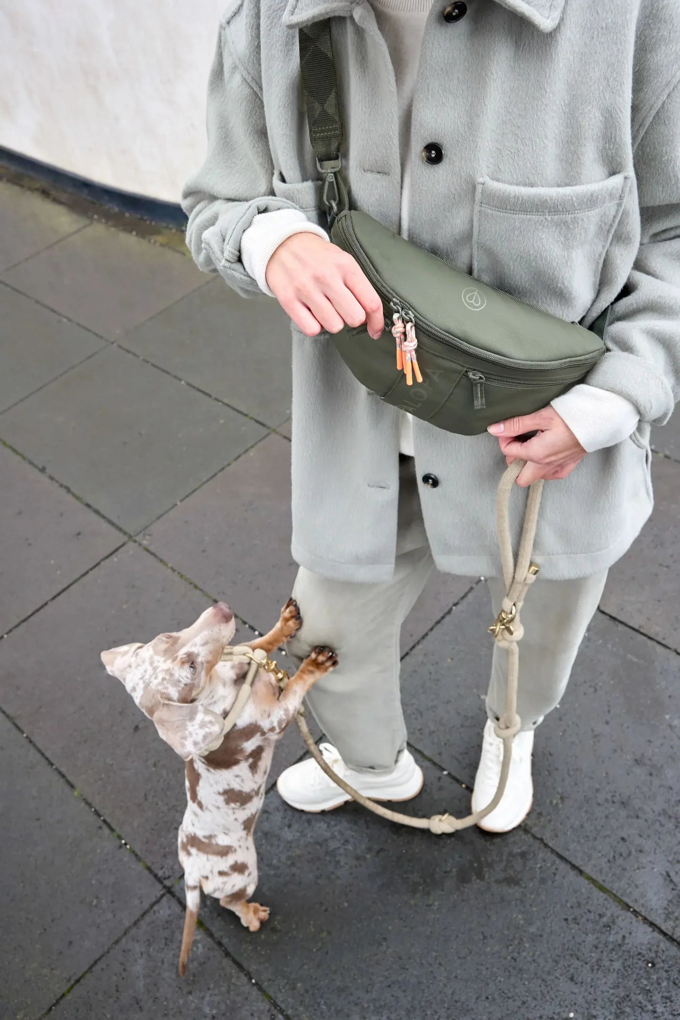 PALOPA - Damen Bauchtasche Emma Hund grün MINI &amp; ME
