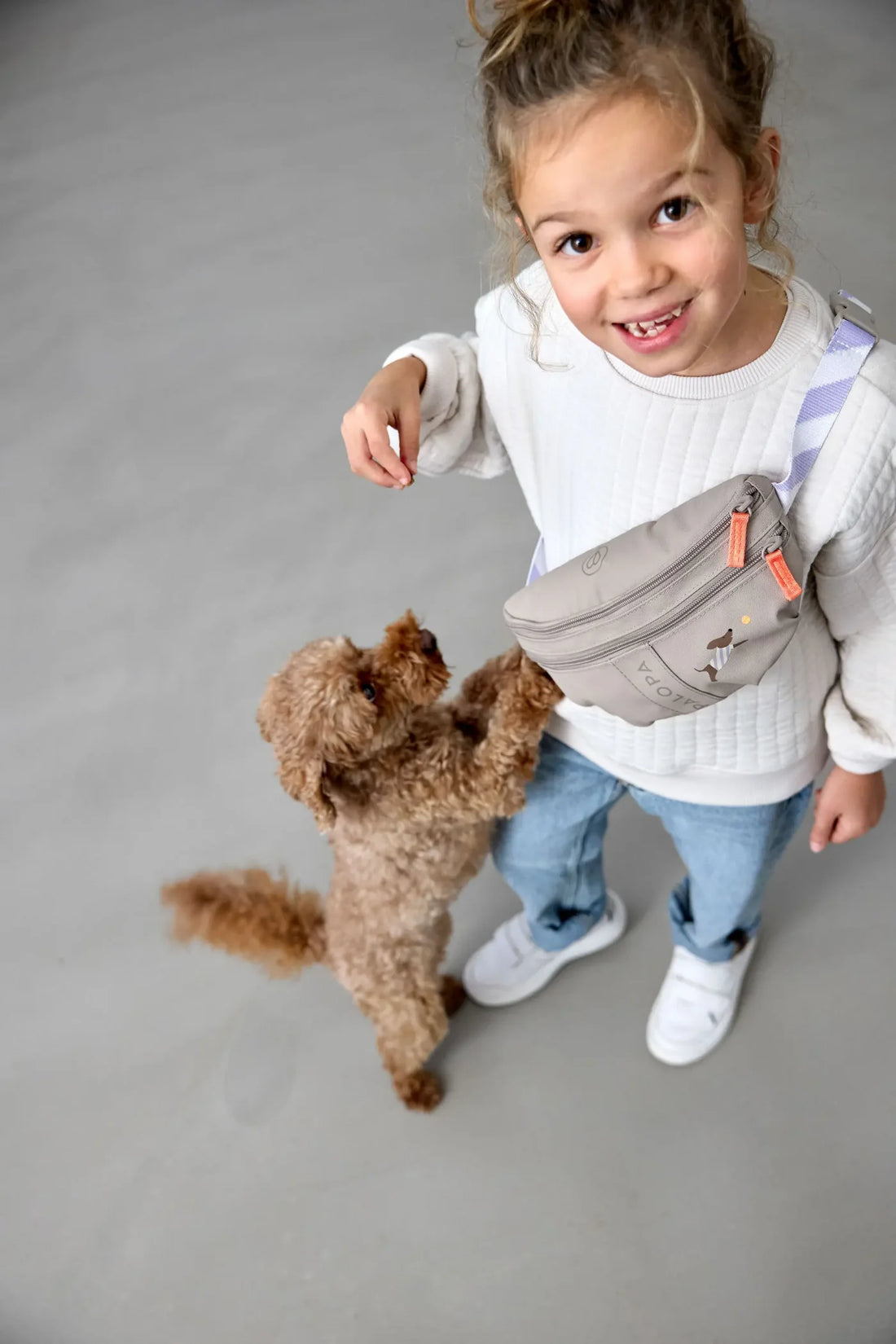 PALOPA - Kinder Bauchtasche Mini Enja Hund grau MINI &amp; ME