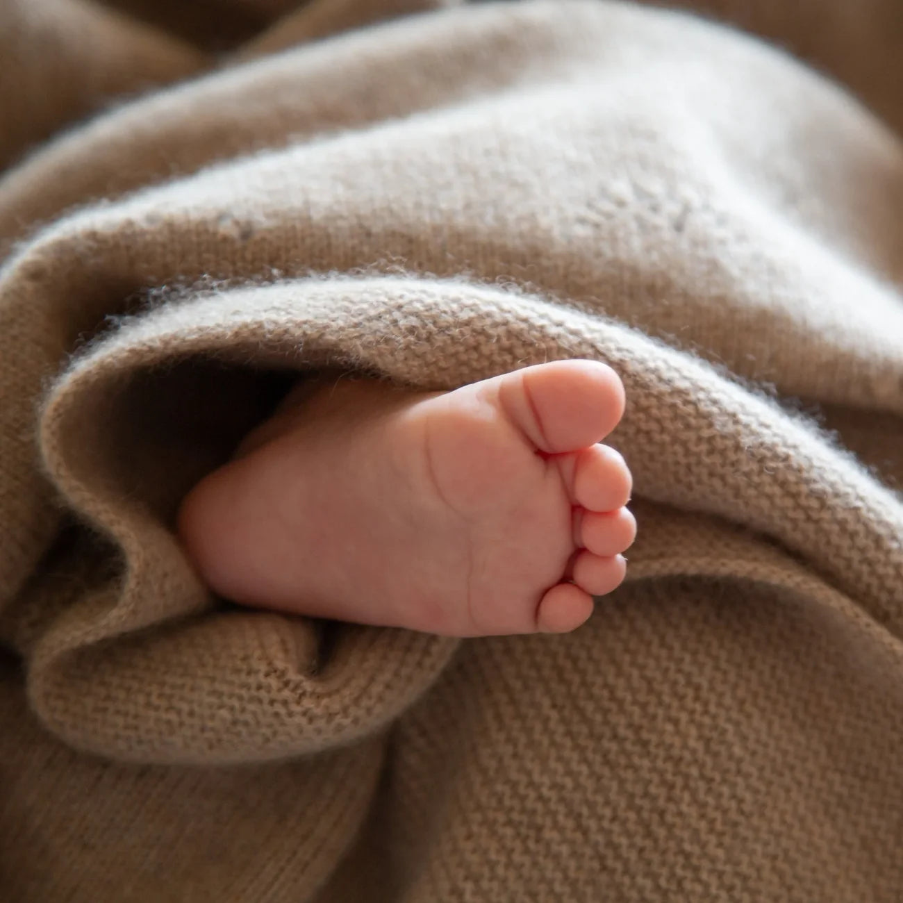 Papa Lobster - Baby Decke Kaschmir LEE beige