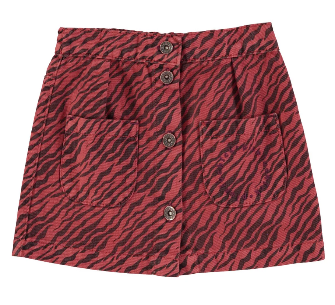 Piupiuchick-rock-zebra-kinder