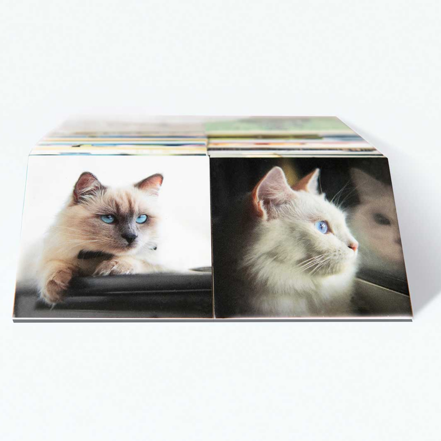 Remember - Konzentrationsspiel Memory Katzen