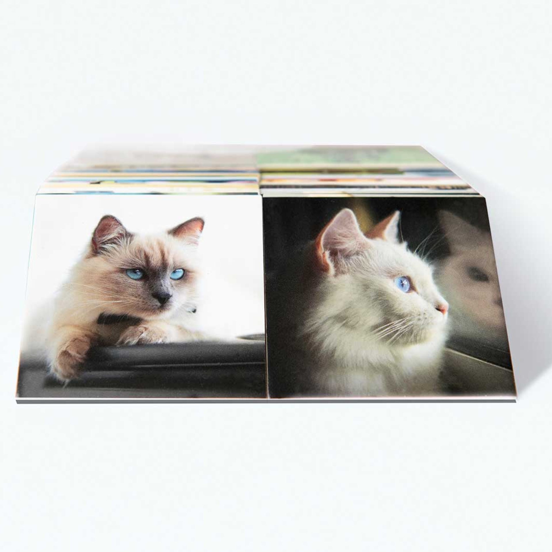 Remember - Konzentrationsspiel Memory Katzen