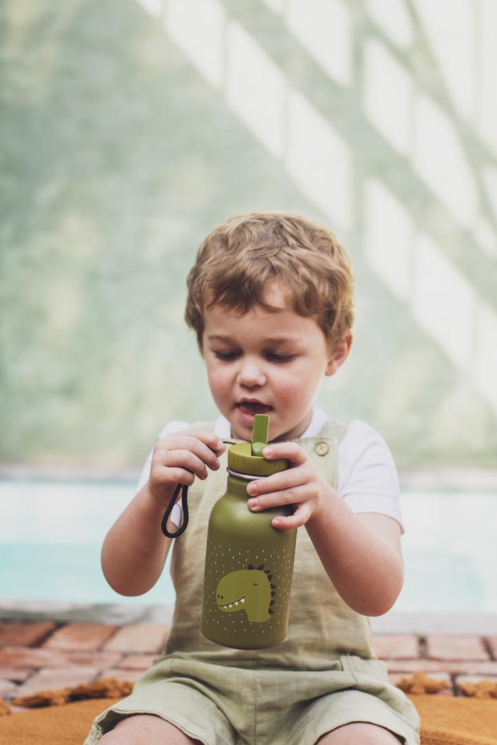 Trixie - Trinkflasche 350 ml - Mr. Dino