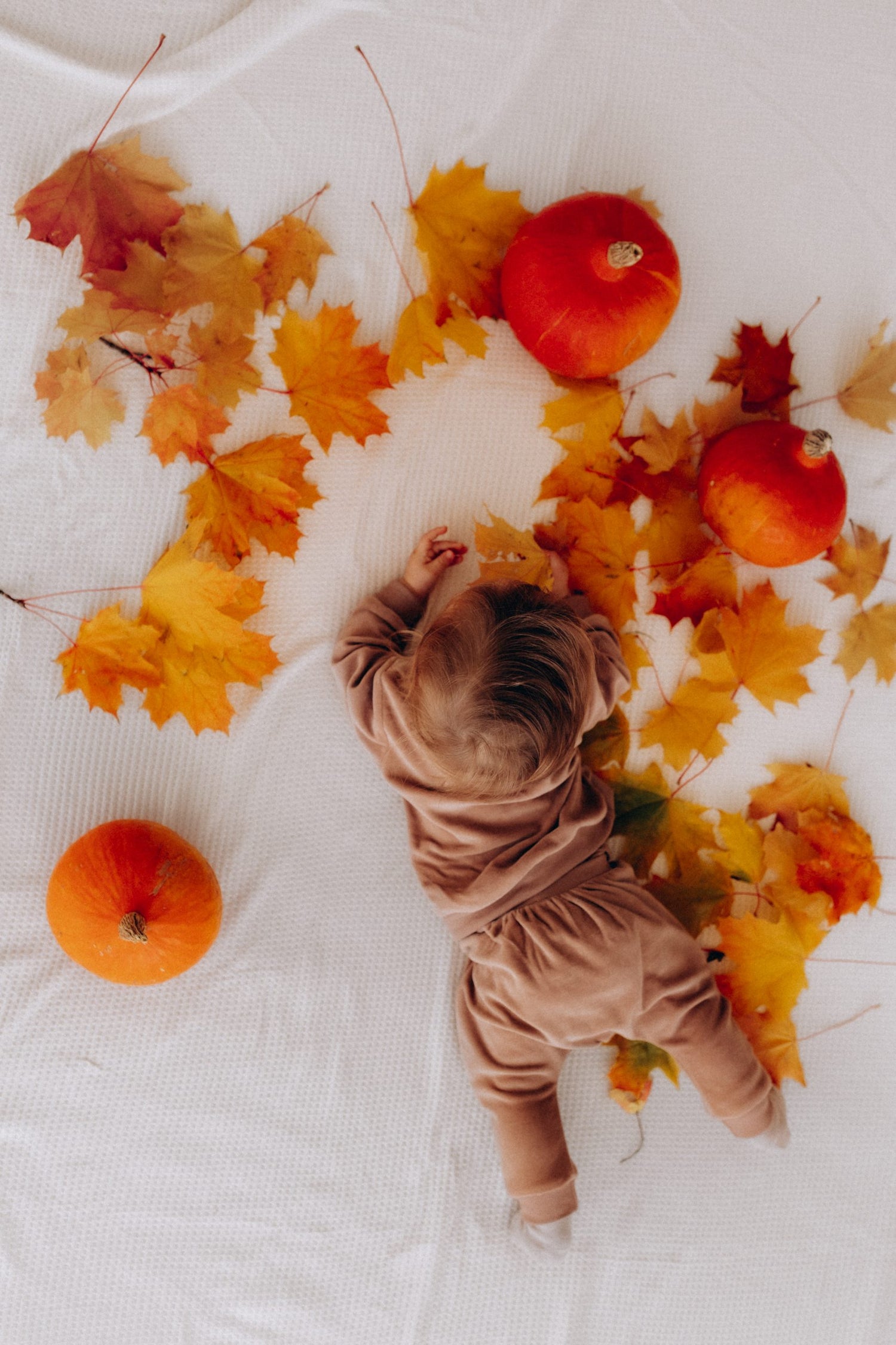 Wooly Organic - Baby Langarmshirt "STUCCO"