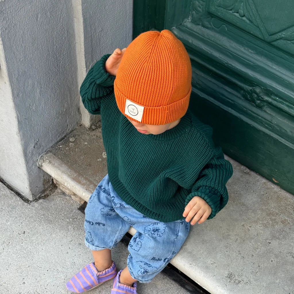 Cosy Roots - Baby Pullover Baumwolle (Bio)