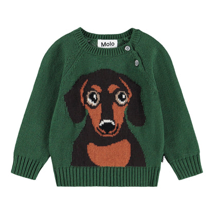 Molo - Strickpullover für Babys mit Dackel-Print