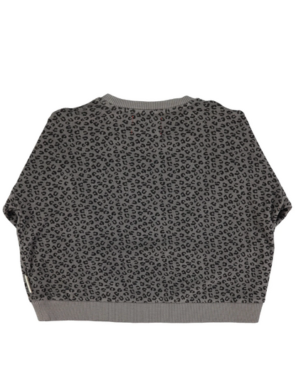 piupiuchick-leograu-kindersweater