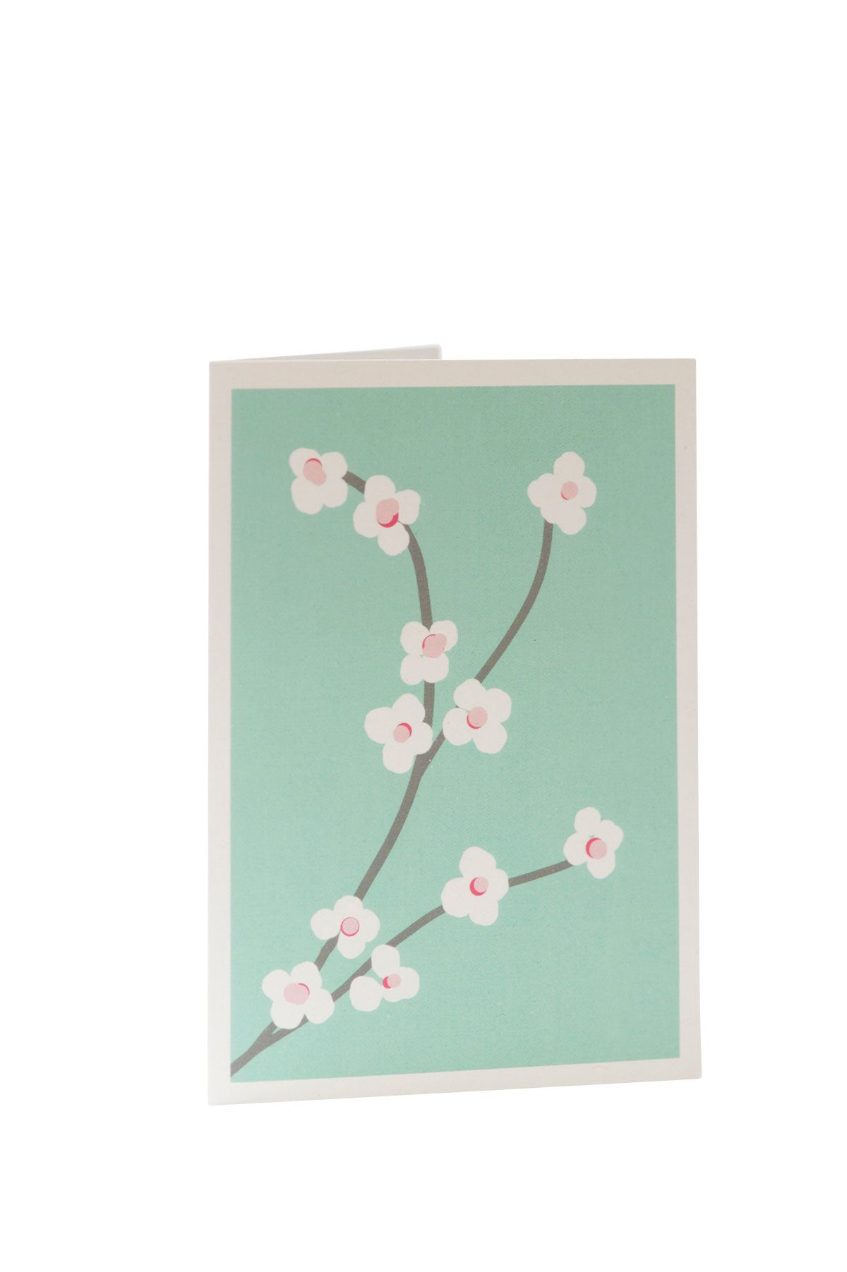 Auryn Papeterie - Kirschblüten - Grußkarte - AURYN Shop